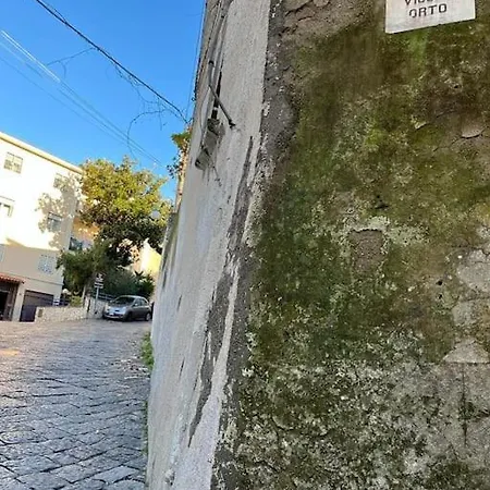 Dimora Vulcanica * Pollena Trocchia